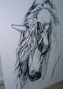 Silent Grace – A Handmade Horse Sketch