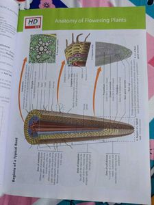 Ncert Fingertip Biology