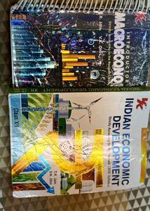 Economics Textbook Bundle - Class XII