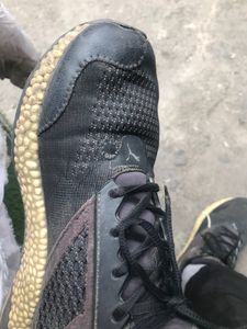 Puma bounce