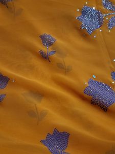 Light Classy Stone Work Saree