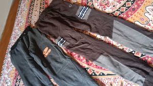 Boys Pant