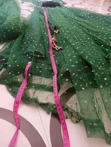Green Embellished Lehenga Choli