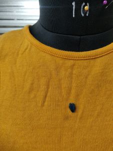 Stylish Mustard Short Sleeve Rib Crop Top