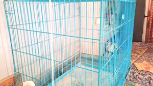 PUPPY CRATE