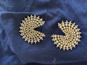 Fusion Kundan earnings