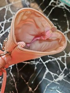Pink Paris Tower Cat Crossbody Bag