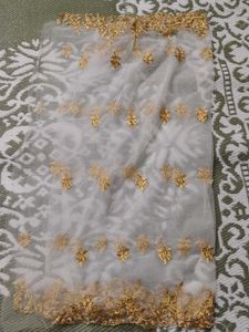 Elegant Embellished Dupatta