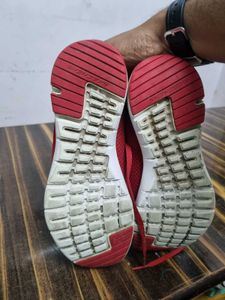 Girls Skechers Shoes Original New Condition