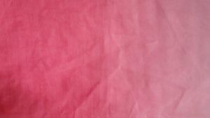 Ombre Dual Tone Organza Saree Without Blouse
