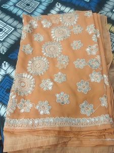 Lucknowi Chikkanari Saree With Stich Blouse