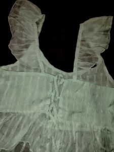 Sheer Ruffle Sleeve Top