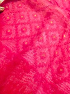 Rani Pink Saree