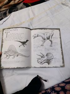 Step Drawing Learning Book