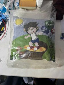 Cushion Pillow