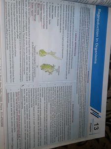 Akash Ncert Maps