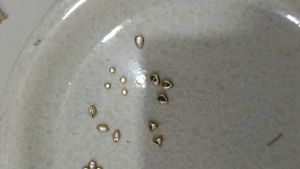 Kundan Stones
