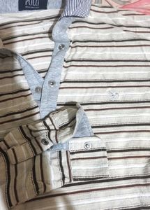 branded polo tshirt for boys