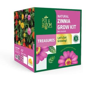 Zinnia Grow Kit