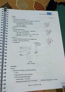 Medicine marrow notes