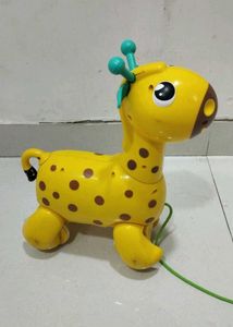 Nicco The Giraffee