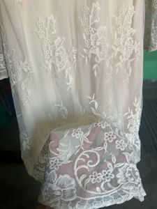 Elegant Lace Overlay Dress