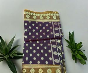 Beautiful Saree