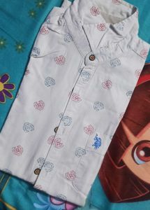 US Polo Assn. Shirt