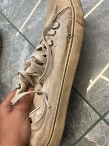 Men’s Casual Shoes