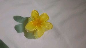 Set of 6 -Hair Claw Clips