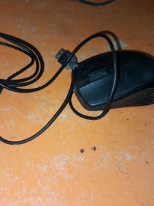 Mouse