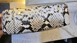 Zara Snake Print Bag