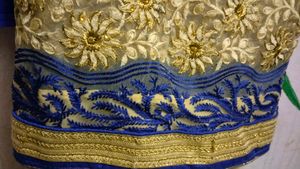 Saree Without Blouse