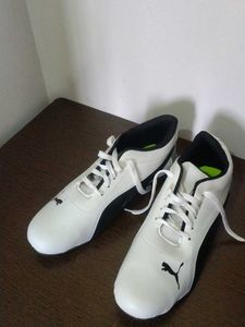 Puma Speecat