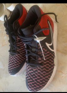Nike Basketball Shoe