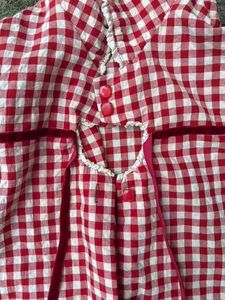 Aesthetic Red Gingham Lace Trim Top