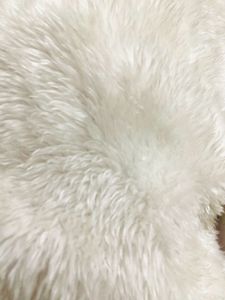 Furr Jacket (AVAILABLE TILL 14 NOV)