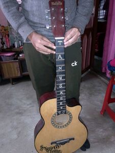 Aquastic Guiter ❤️