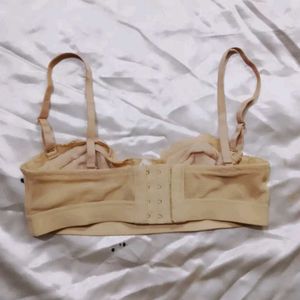 lively  Bra