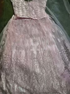 Elegant Embellished Lehenga Choli Set