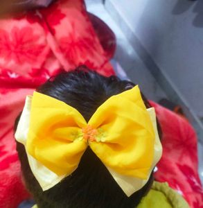 Double Layered Bow