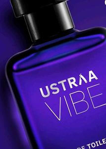 Vibe perfume