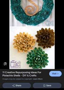 Pistachios Shells 1kg