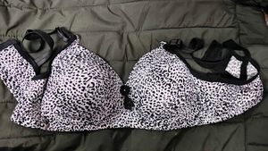 Animal Print Bra (padded)