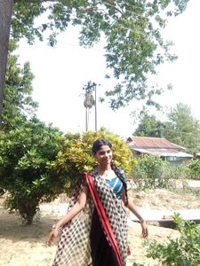 Elegant Checkered Saree