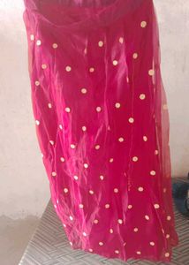 pink and Blue Lehenga Choli Combo Set