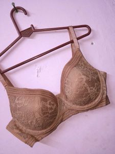 New Lace Detail Everyday Bra