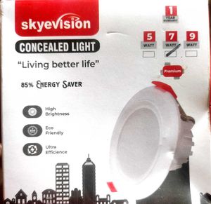 LED Ceiling Light