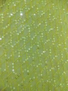 Yellow Net Dupatta