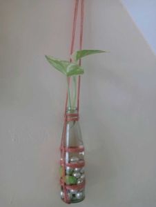Hanging Glass Bottle Planter With Plant